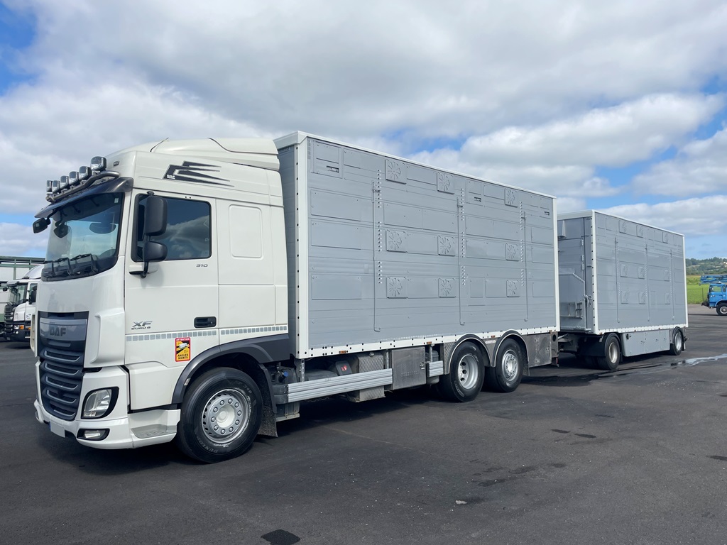 DAF XF510 + PEZZAIOLI - 3 étages indépendants - 2018