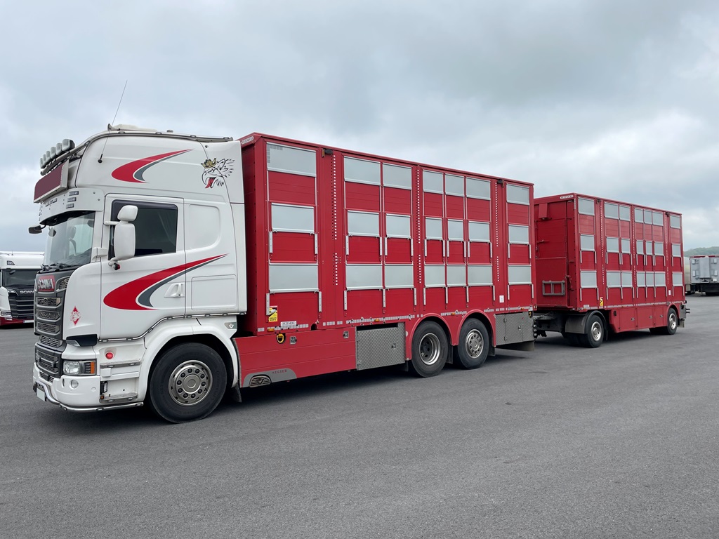 SCANIA R580 + PEZZAIOLI - 3 floors - 2018