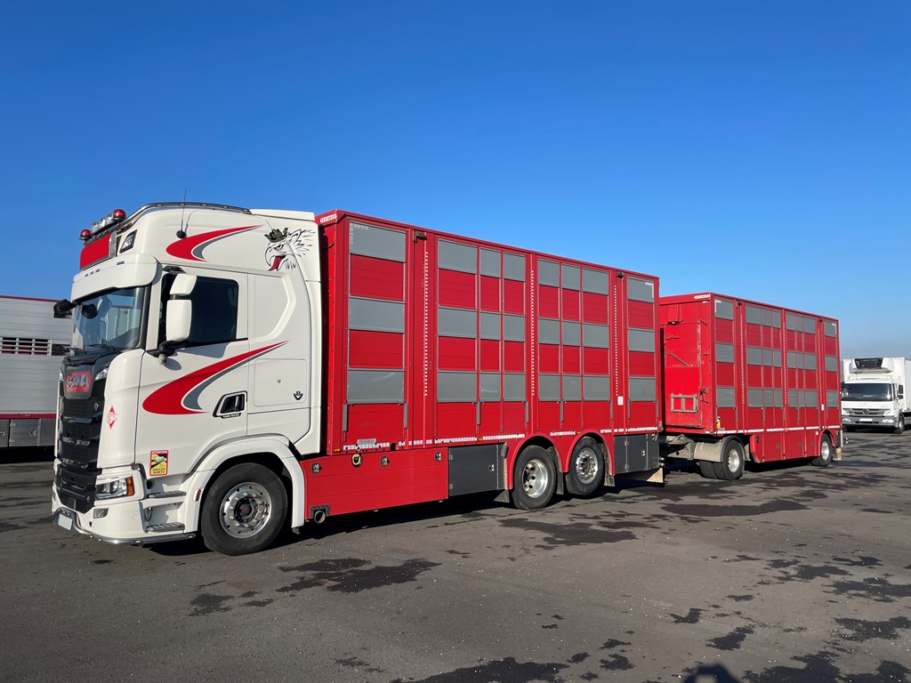 SCANIA S580 + PEZZAIOLI - 3 étages - 2019