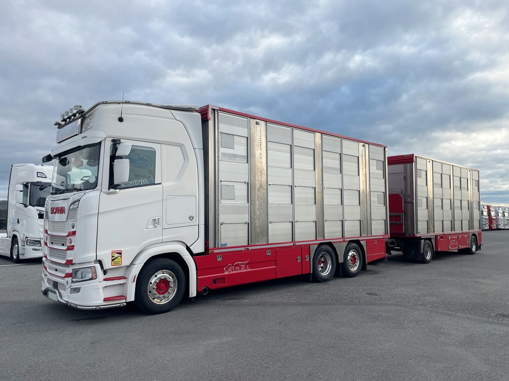 SCANIA S580 + IRMA - 3 étages - Palettisable - 2020