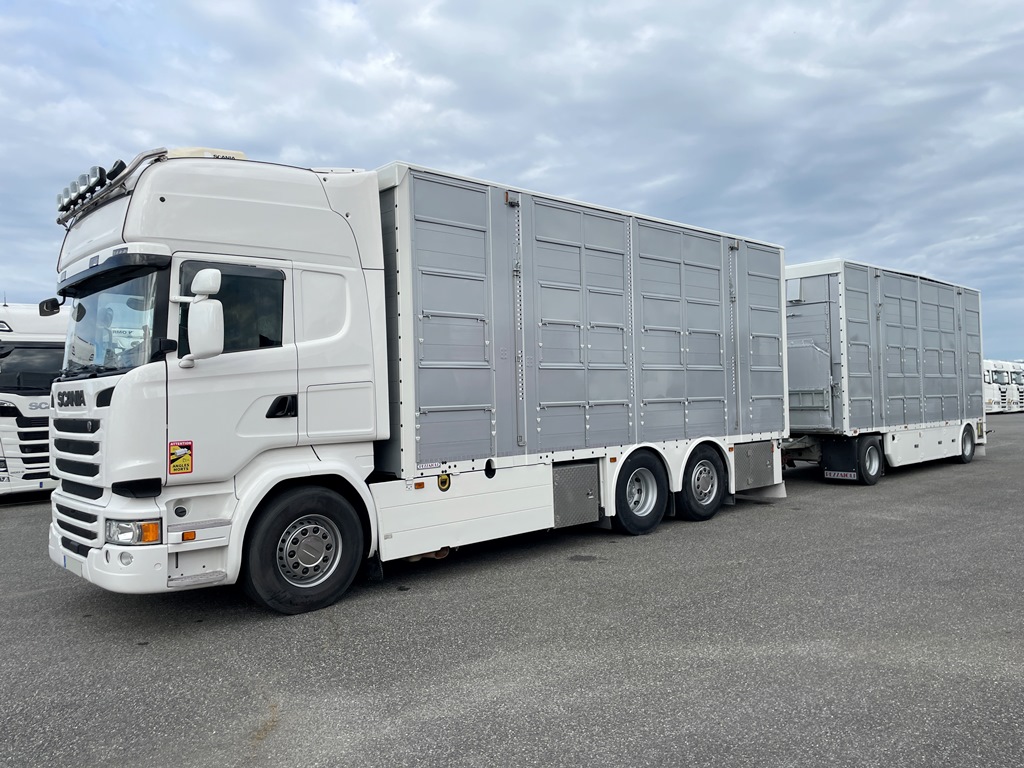 SCANIA R490 + PEZZAIOLI - 3 étages - 2016