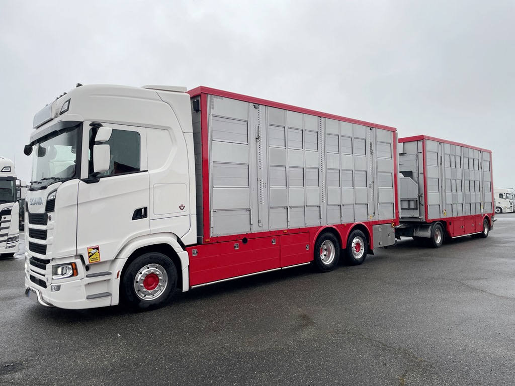 SCANIA S660 - Neuf + PEZZAIOLI - 2021 - 3 étages 