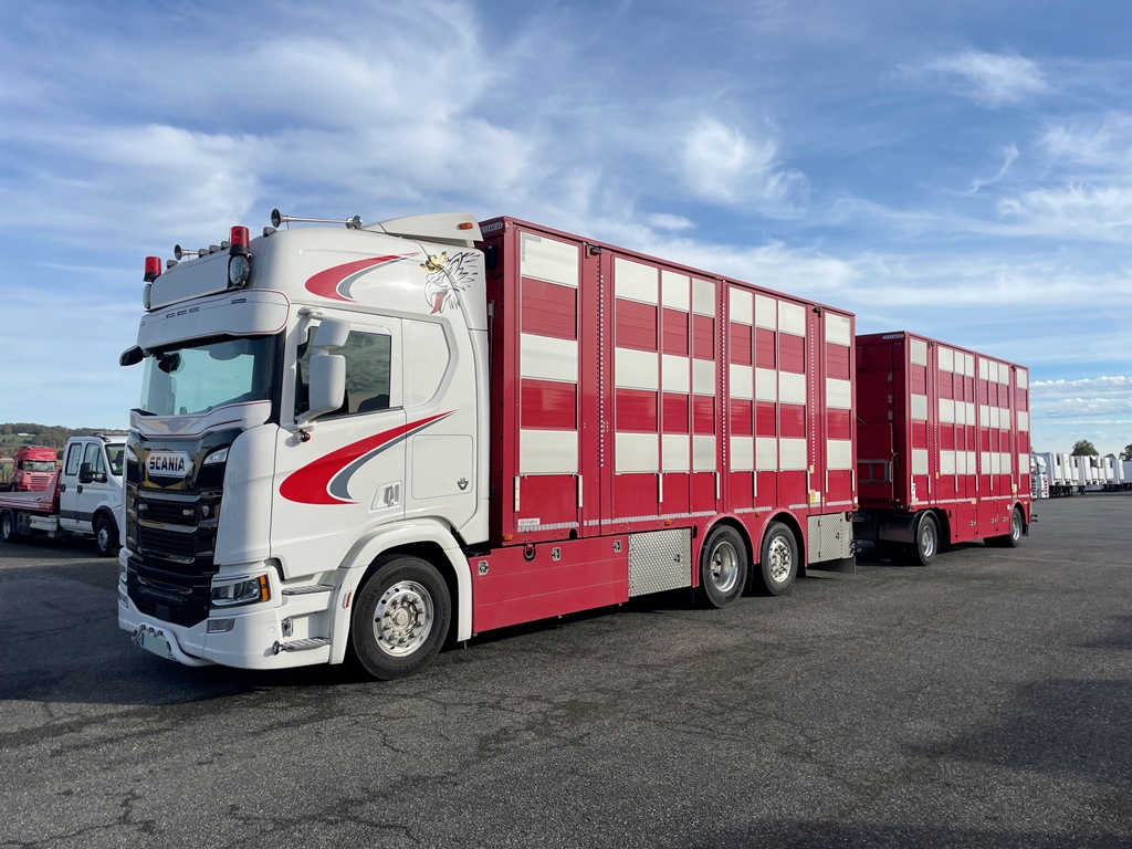 SCANIA R590 + PEZZAIOLI - 3 étages - 2022