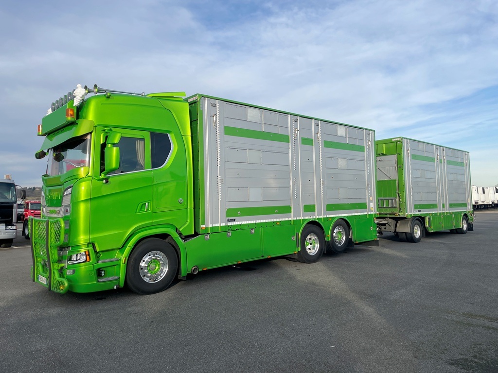 SCANIA S650 + PEZZAIOLI - 3 étages - 2 compartiments PEZZAIOLI - 2018