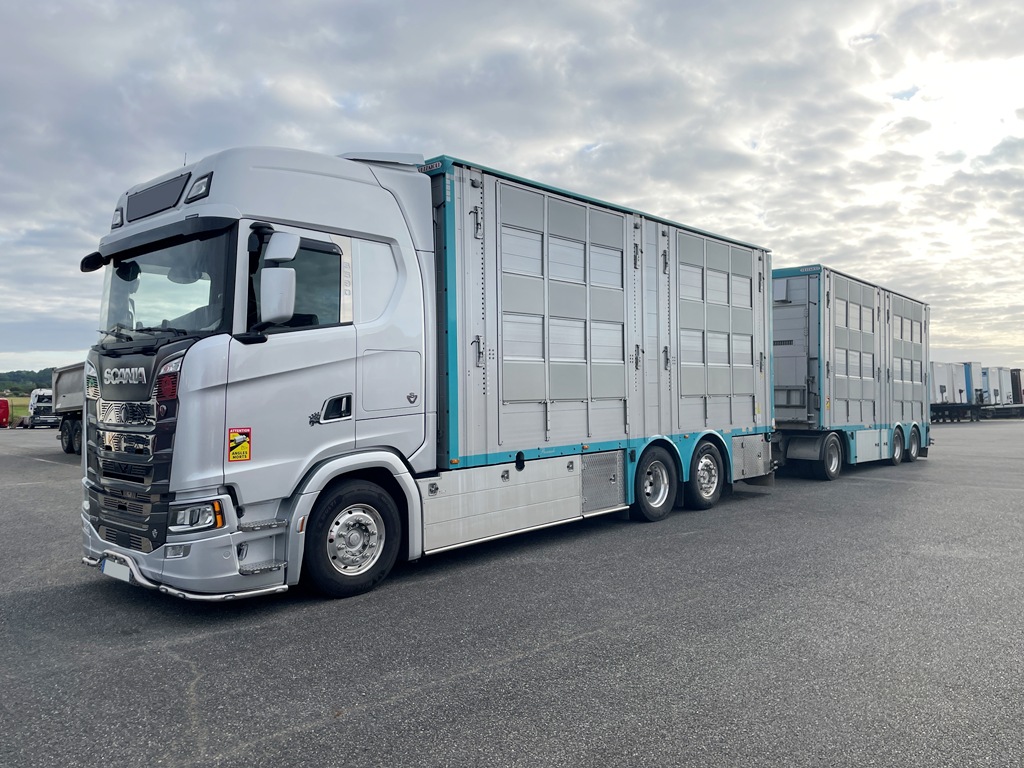 SCANIA S590 + PEZZAIOLI - 3 étages 2 compartiments - 2022