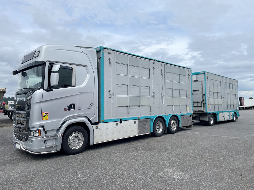 SCANIA S590 + PEZZAIOLI - 3 étages 2 compartiments - 2022