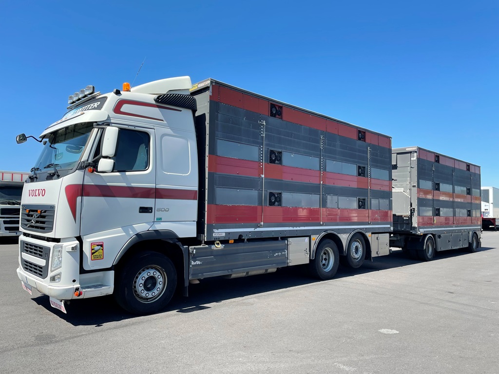 VOLVO FH500 + PEZZAIOLI - 3 étages - 2010