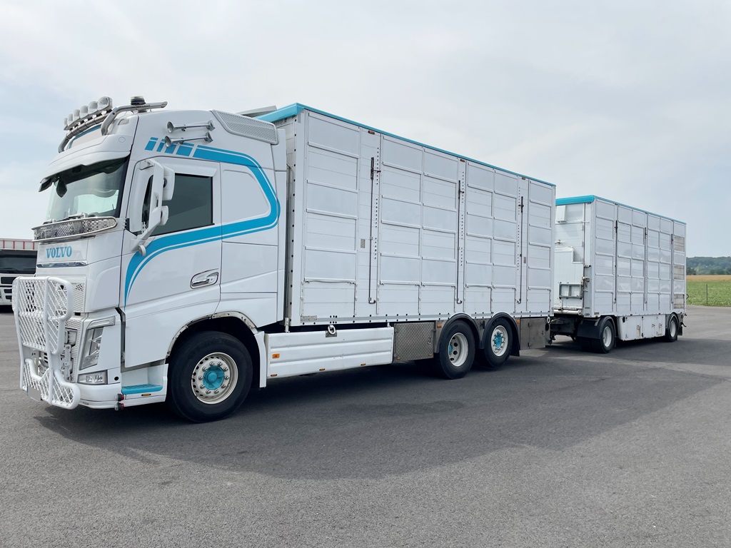 VOLVO FH550 + PEZZAIOLI - 3 étages - 2016