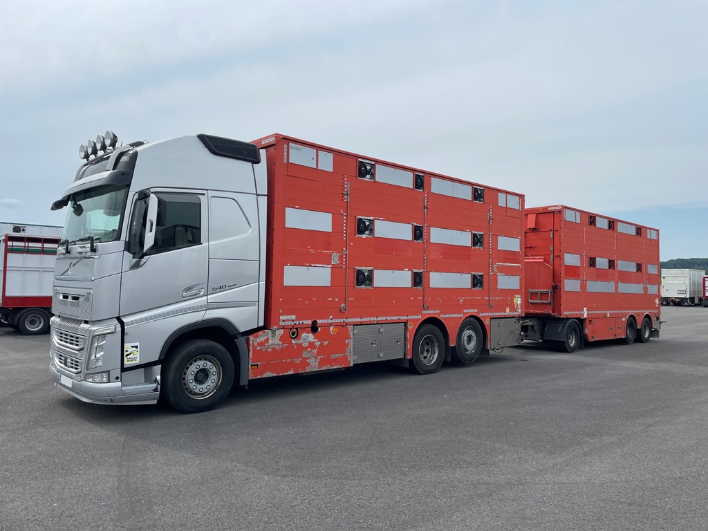 VOLVO FH540 - 3 étages + PEZZAIOLI - 2 étages - 2016