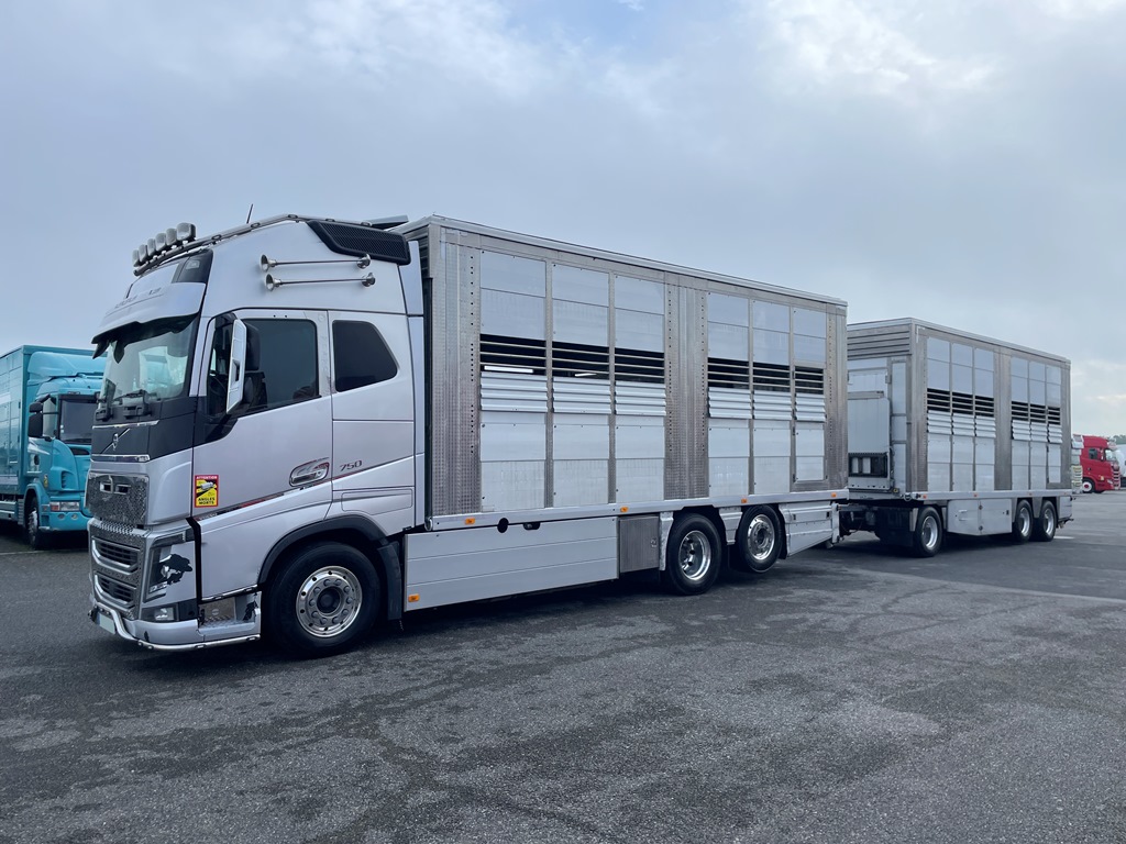 VOLVO FH750 + ZORZI - 3 étages - 2 compartiments - IRMA - 2019