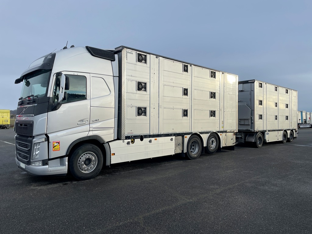 VOLVO FH540 + PEZZAIOLI - 3 étages - 2018