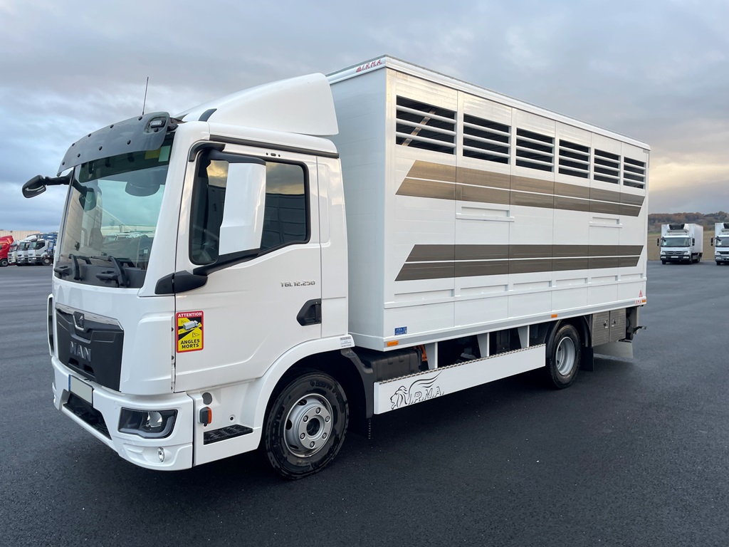 MAN - TGL 12.250 - bétaillère IRMA - Neuf