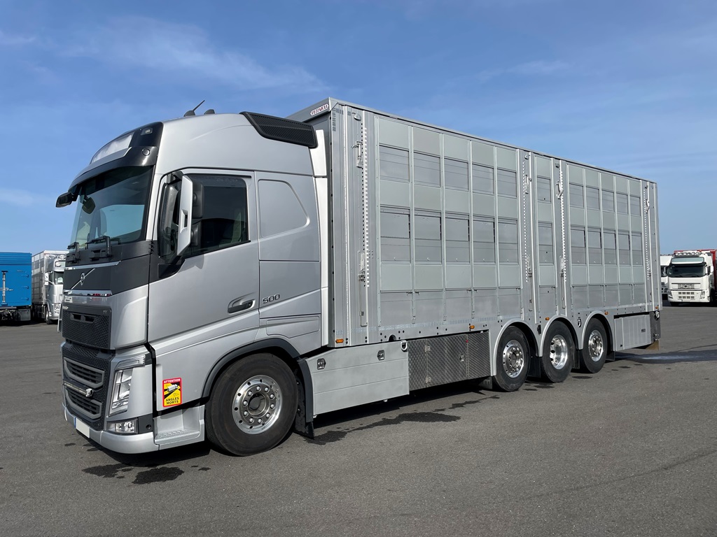 VOLVO FH500 - 8x2 - 3 étages - 2 compartiments - PEZZAIOLI - 2020