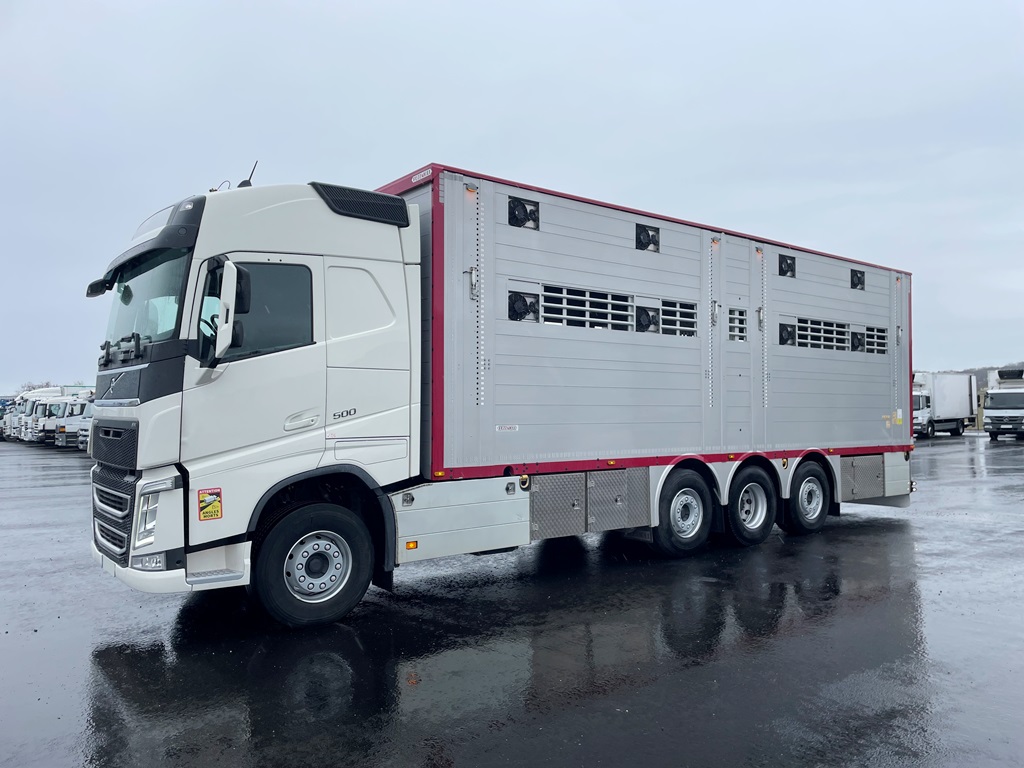 VOLVO FH500 - 8x2 - 2 étages PEZZAIOLI - 2 compartiments - 2020