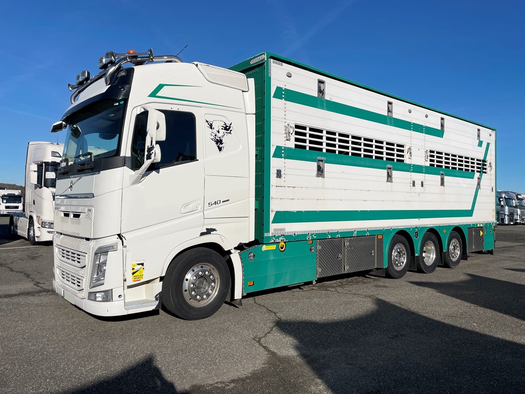 VOLVO - FH540 - 8x2 - 2 étages - 2 compartiments - PEZZAIOLI - 2018