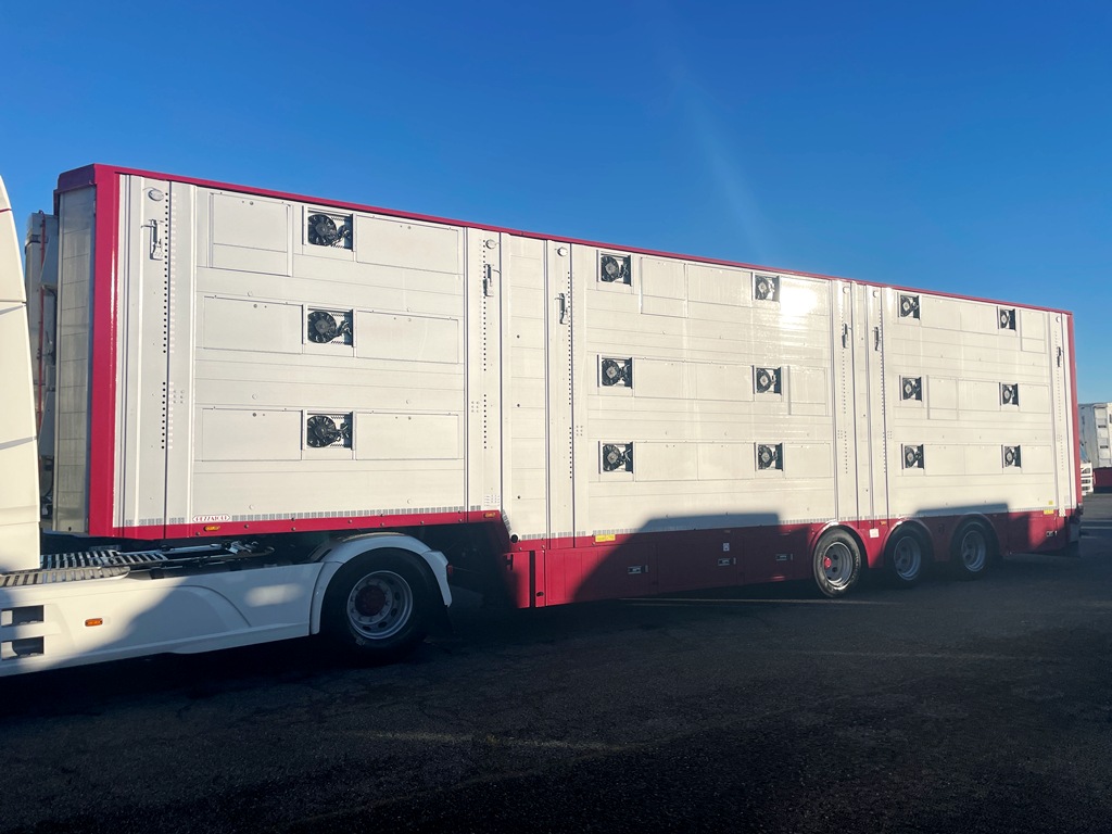 PEZZAIOLI - 3 étages - 3 compartiments - 2021