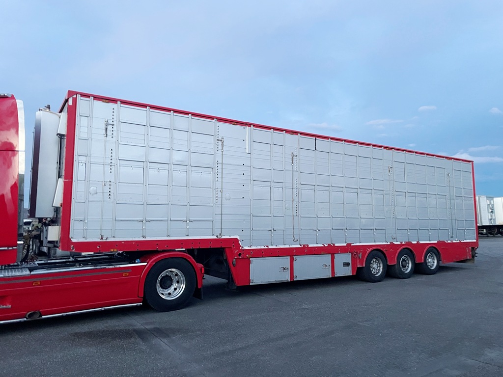 PEZZAIOLI - 3 étages indépendants - 2 compartiments - 2011